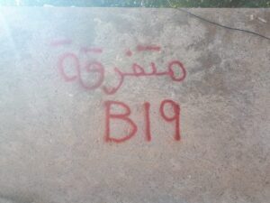 محافظة نينوى