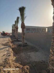 بغداد جانب الكرخ